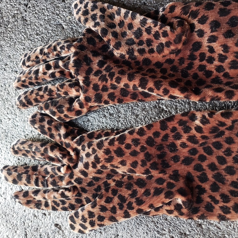 Leopard Print Gloves